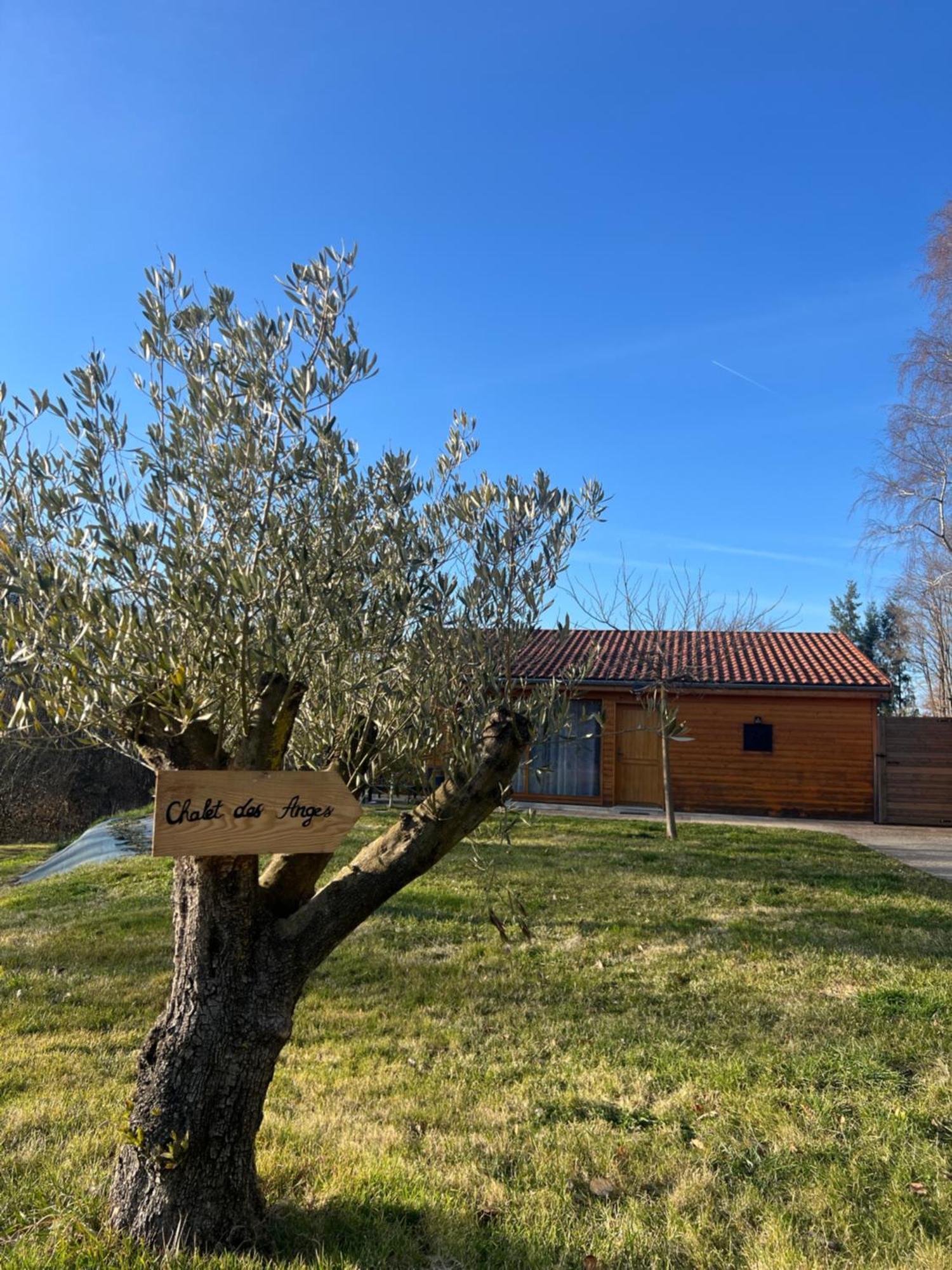 Chalet Des Anges Youx Eksteriør bilde